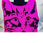 Cat glitch