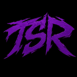 THE SYNDİC RAİDERS