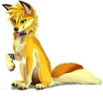 Furry_pride