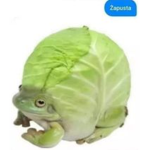 Ktoś_Nikt