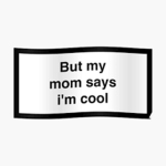 im a comedian