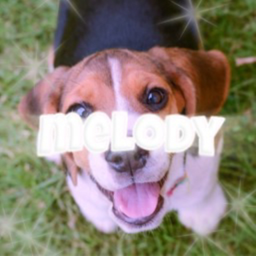 Melody Homestore
