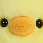 WaddleWear