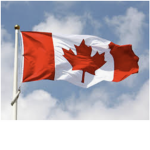 Mitchel's Group In Roblox!