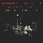 organizing urban guerilla warfare
