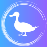 Da Duck Wish