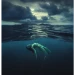 Thalassophobia icon