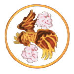 ZO | Sasaki Dynasty