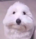 AXTRELLIX
