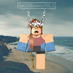 SockMonkeyRBLX Fan Group