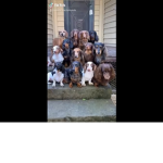 DOGYYYYYY GROUP!