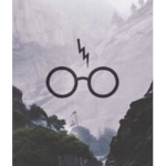 Harry Potter <3 group