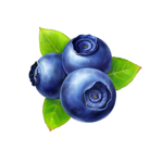 Blueberrys!! <3
