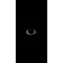 The True Eyes Of The Trusted Ones icon