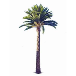 Team Palm Tree.