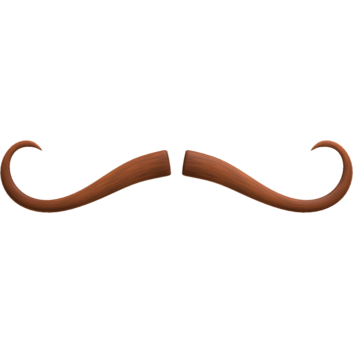 Ginger Thin Mustache Cute Nerdy Fancy Moustache