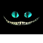 TH3ROB3A2T