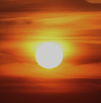 Sunshine Estates