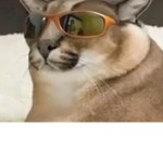 THE FLOPPA REVOLUTION