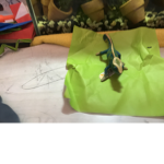 Lizards and cameleons