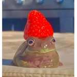 FROG APPRECIATION GROUP