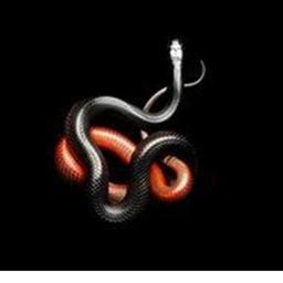 xSnakes