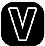 Vice Management Council-VMC