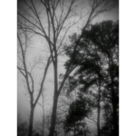 dark outfitters <3