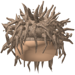 Roblox entity thumbnail