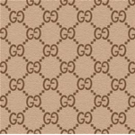 Gucci Fashion*