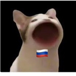 The Russian Cat Army
