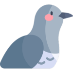 Pigeons Game