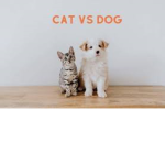cats vs dogg do you like cats or dogs?