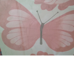 ButterFlyBoy