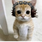 Mi$