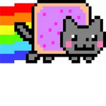 Nyan Cat group! <3 :D :3