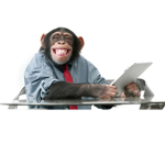The monkey business group
