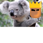 potato and koala family!!!