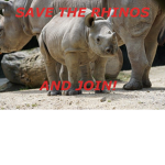 Rhino Awareness Group