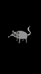 The Rats And The Dogs