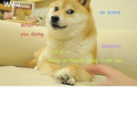 The name Doge club