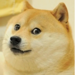 The Doge King legends