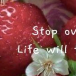 🍓....୨୧....🍓....🍓