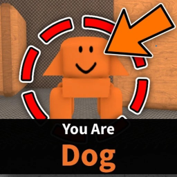 🧡 DOG X999