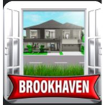 Brookhaven RP_but group