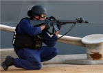 g.u.n.(group uint navy)