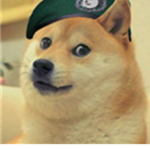 (DA) Spec Ops