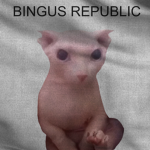 Bingus Republic