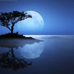 Blue Aesthetic*.