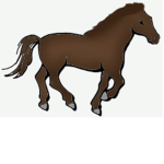 lillys angels horse riding clothing